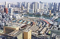 東京中央卸売市場築地市場（2018年閉鎖）と築地市場で競りにかけられる冷凍マグロ。