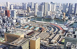 Tsukiji fish market