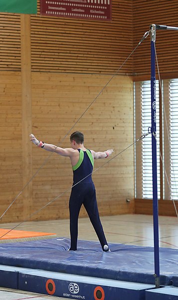 File:2019-04-13 Rheintalcup P6 Junior Switzerland competition horizontal bar (Martin Rulsch) 093.jpg