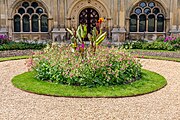 Flowers at an at Audley End.