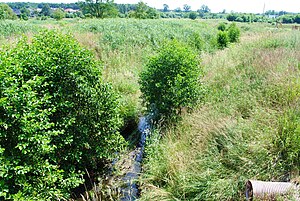 Katowice: Położenie, Środowisko naturalne, Nazwa