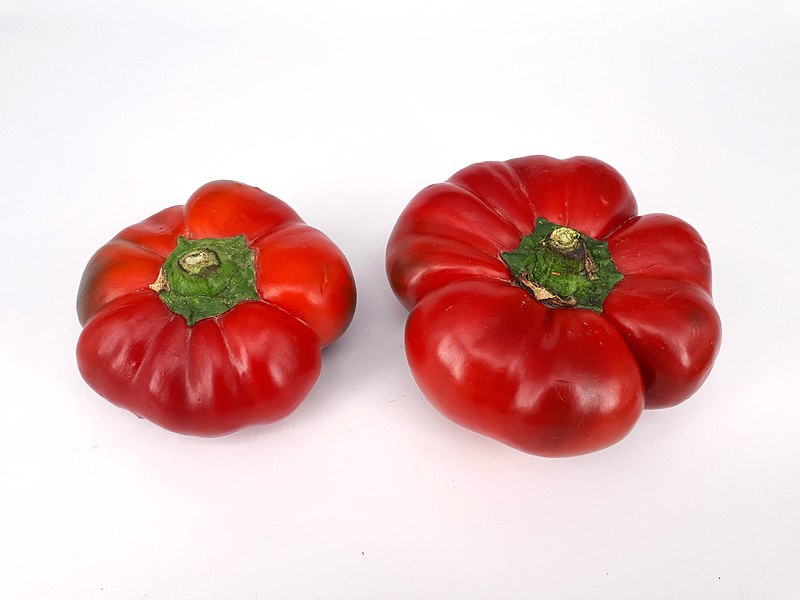 File:2 x Flat red bell pepper 2017 A.jpg