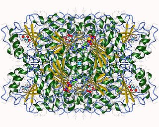 <span class="mw-page-title-main">Benzoylformate decarboxylase</span>