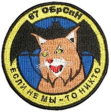 Эмблема 67-й отдельной бригады специального назначения (на 2009 год)