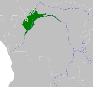 File:AT0129 map.png