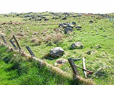 Velmi skalnaté pole poblíž The May nad jezerem Mochrum Loch - geograph.org.uk - 319667.jpg