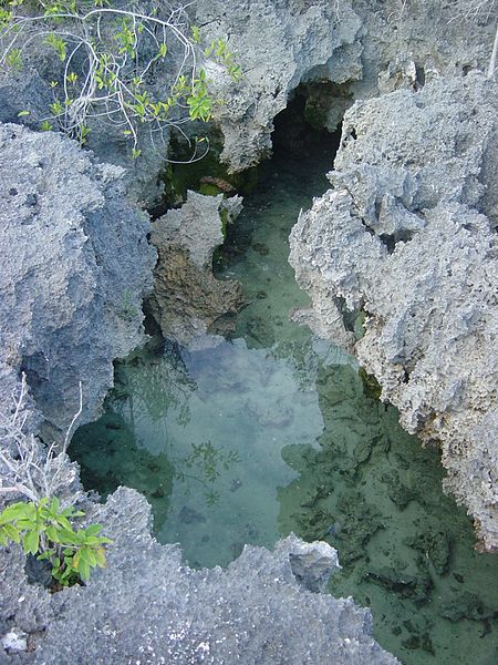 File:Aldabra Atoll-108990.jpg