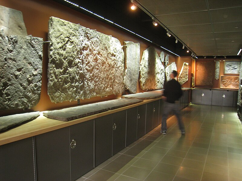 File:Amherst College Museum of Natural History - IMG 6463.JPG