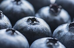 Antioxidant-berries-bilberry-988870.jpg