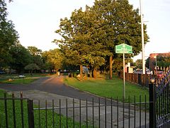 Ardwick Yeşil Parkı - geograph.org.uk - 48134.jpg