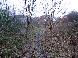 <span class="mw-page-title-main">Ashford Community Woodland</span> Nature reserve in Kent, United Kingdom