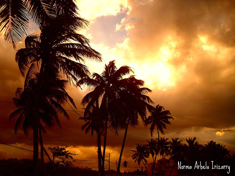 File:Atardecer de fuego en el palmar - Camuy, Puerto Rico - panoramio.jpg