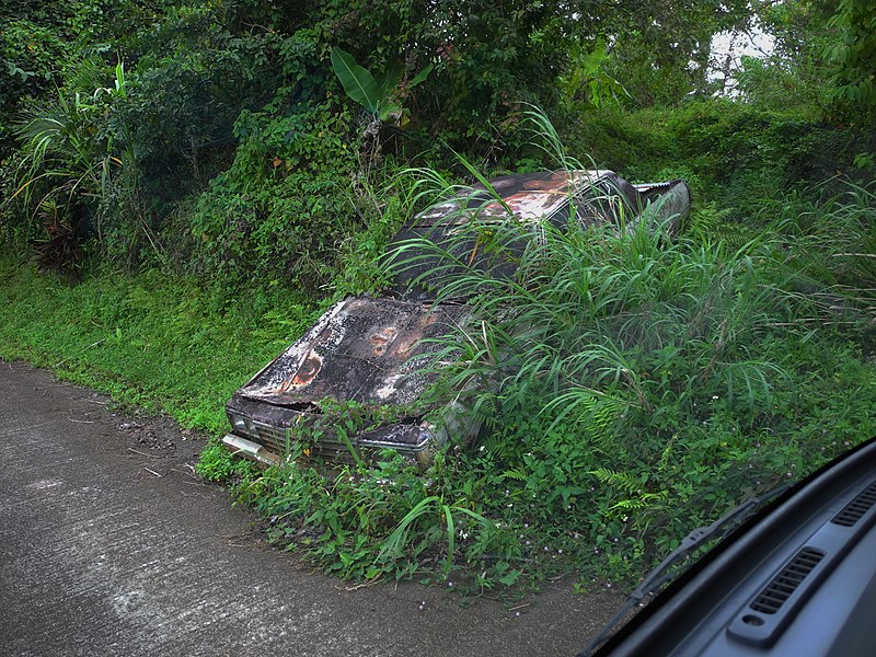 File:Autowrack an der Strasse.jpg