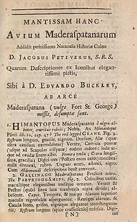 Edward Bulkley East India Company surgeon and naturalist