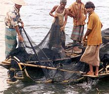 [2] Fischer auf einem Boot, am Netz, mit einem mageren Fang/ Fischfang