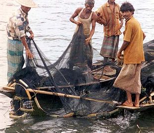 Rete da pesca - Wikipedia