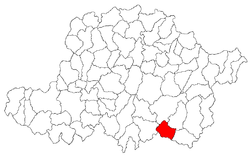 Location in Arad County