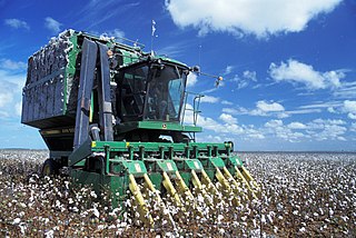 Cotton picker cotton pickers automate harvesting to maximize efficiency