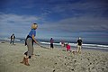 Beach cricket in Australia 28