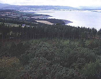 Prospect from Craig Phadrig, looking westward along the southern shore of the Beauly Firth Beauly Firth from Craig Phadrig - geograph.org.uk - 621252.jpg