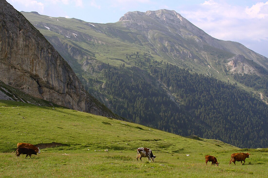 Белег (планина)