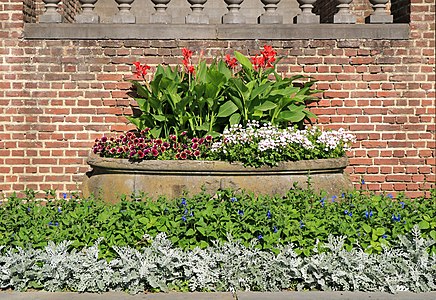 La vasque ornée de fleurs.