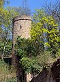 * Nomination Bettina tower in Marburg --Hydro 21:05, 30 December 2013 (UTC) Comment Needs a perspective correction --Moroder 16:33, 2 January 2014 (UTC) * Decline Blurry --Pleclown 12:42, 7 January 2014 (UTC)