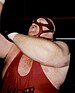 Big Van Vader (1996).jpg