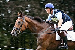 Horses must be exceptionally fit to compete at the higher levels Blenheim Horse Trials 1.jpg