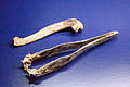 Óriásalka csontjai a Reykjavík 871±2 múzeumban