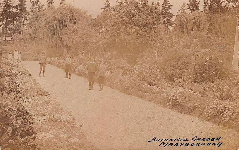 File:Botanical Garden, Maryborough (c.1910) (22214450079).jpg