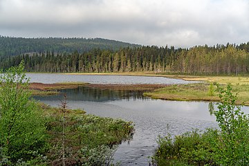 Utloppet vid norra sidan av Bränntjärnen.