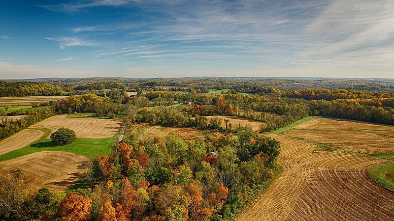 File:Bryn Coed Farms via drone.jpg