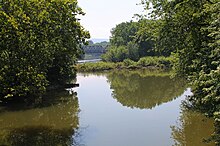 Buffalo Creek looking downstream near its mouth