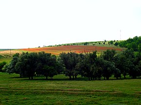 Căușenin alue, Moldova - panoramio.jpg