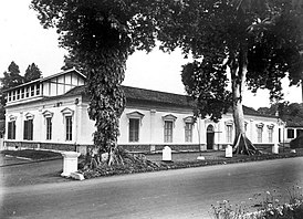 Богорский зоологический музей, 1920 год