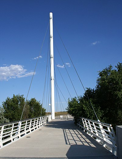 Cable-stayed bridge at Gold Strike Park