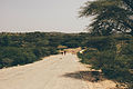 Campagne ville de gabiley,somaliland.jpg