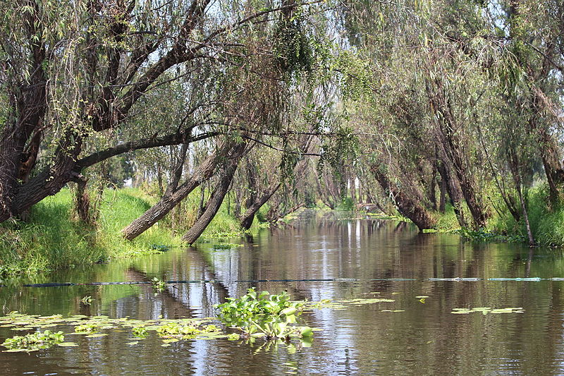 File:Canales vista.JPG