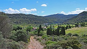 Caununes-en-Val