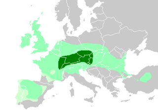 Europakarte mit grün eingezeichneten Arealen