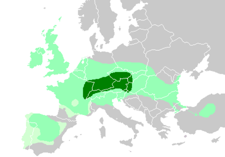 The spread of archaeological cultures associated with the Celts in Europe:  .mw-parser-output .legend{page-break-inside:avoid;break-inside:avoid-column}.mw-parser-output .legend-color{display:inline-block;min-width:1.25em;height:1.25em;line-height:1.25;margin:1px 0;text-align:center;border:1px solid black;background-color:transparent;color:black}.mw-parser-output .legend-text{}  core Hallstatt territory, by the 6th century BC   maximal Celtic expansion, by the 3rd century BC   Lusitanian and Vettones' area where Celtic presence has been proposed by Koch and Cunliffe