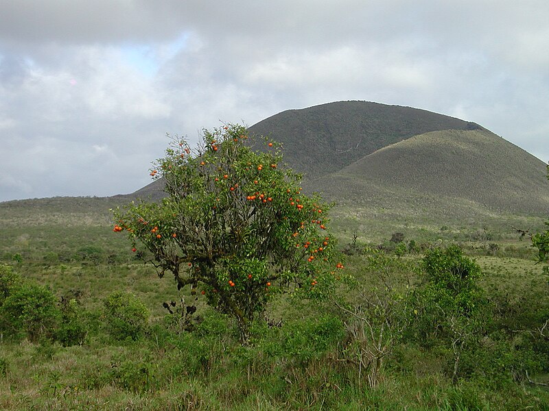 File:Cerro Pajas.JPG