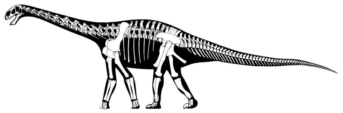 Cetiosauridae