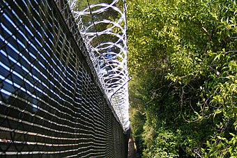 concertina wire definition