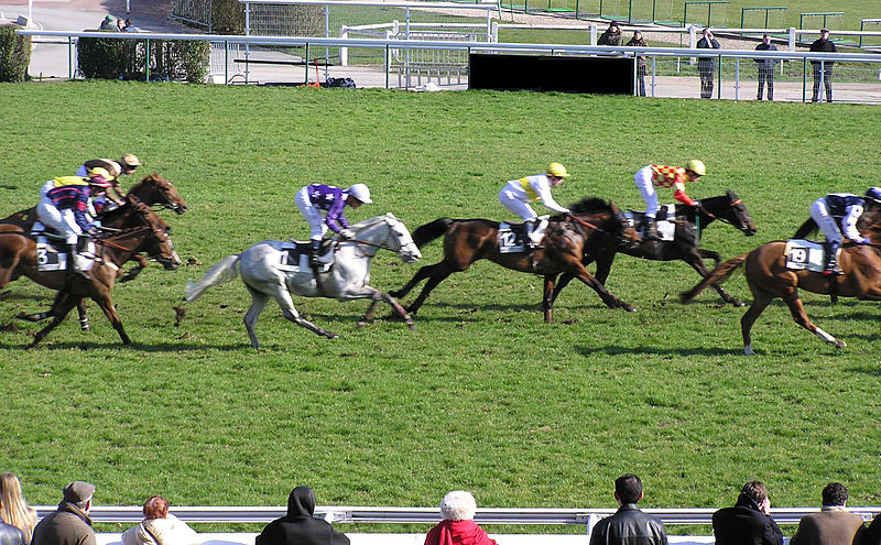 File:ChevauxHippodromeAuteuil001.jpg