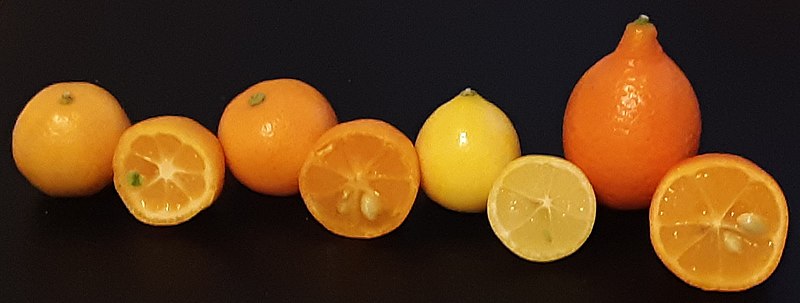 Mandarin orange - Wikipedia