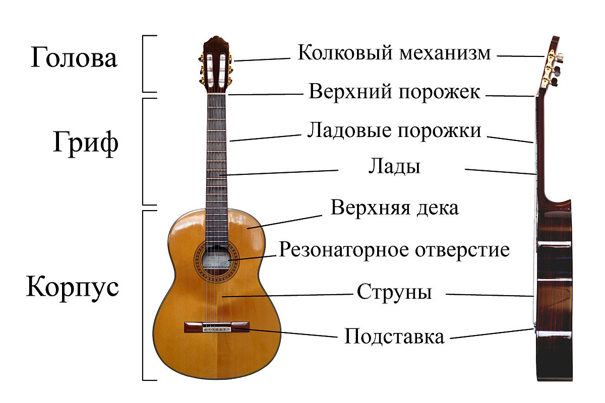 Из чего состоит и как устроен гриф гитары