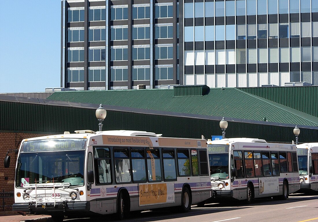 Codiac Transpo