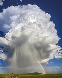 雨 维基百科 自由的百科全书